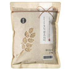 곰곰 2019년 소중한 우리쌀 4일 발효현미, 2kg, 1개