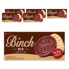 LOTTE 樂天 Binch巧克力餅乾, 102g, 6盒