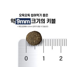 이즈칸 독 그레인프리 조인트케어 사료, 뼈/관절강화, 15kg, 1개