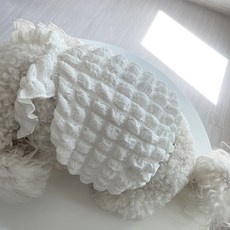 강아지뽀글이-추천-상품