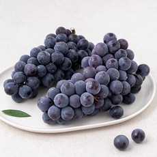포도 TOP01