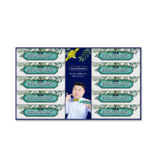 덴티본조르노 구취케어 민트향 치약 100g 선물세트, 1세트