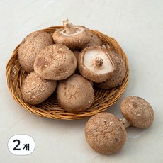 표고버섯, 200g, 2개