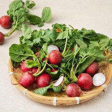 국내산 레디쉬 방울무, 1봉, 300g