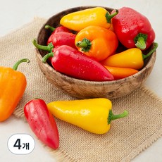 국내산 미니 파프리카, 300g, 4개