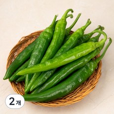 국내산 오이맛 고추, 400g, 2개