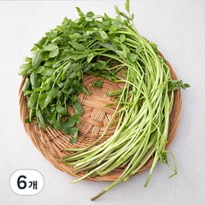 국내산 친환경 미나리, 200g, 6개