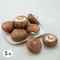 친환경 인증 국내산 양송이버섯, 150g, 5개