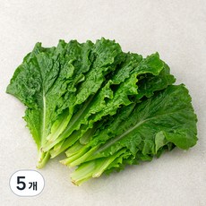 한끼 로메인, 80g, 5개