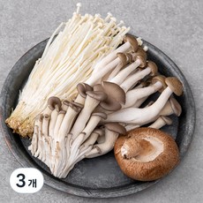 전골용 모둠버섯, 200g, 3개