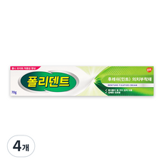 글락소스미스클라인 후레쉬 민트 의치 부착재 70g 수인12-678호, 1개, 4개