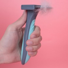 딩동펫 반려동물 사각 원터치 브러쉬 65 x 154 mm, 민트, 1개