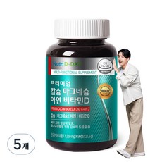 뉴트리디데이 칼슘 마그네슘 아연 비타민D 5개 121.5g