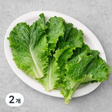 한끼 청상추, 80g, 2개