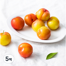 새벽경매 새콤달콤 하우스 꼬마자두, 300g(7~9입), 5팩