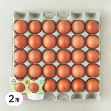 농협 EPC 무항생제 인증 대란 1.56kg, 2개, 30구 2개, 30구