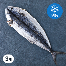 아라보감 국내산 반건조 삼치 (냉동), 350g, 3개