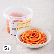 남도애꽃 무생채, 230g, 5개