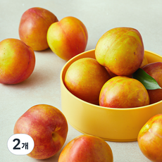이로운 군위 당도선별 후무사 자두, 2개, 1.2kg(대)