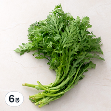 친환경 쑥갓, 150g, 6봉