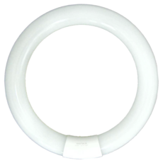 旭光 LED T9環型燈管 15W 6500K, 晝光色, 1個