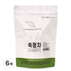 아이앤티 쑥청차 삼각티백, 1.2g, 60개입, 6개