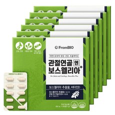 FromBIO 乳香&維他命D保健錠, 60顆, 6個