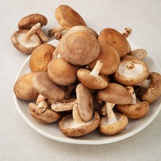 표고버섯 국내산, 1kg, 1개