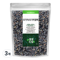 생생드림 오가피열매 오가자, 300g, 3개, 1개입