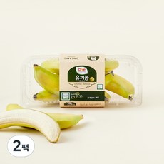 돌 유기농 바나나, 500g, 2개 500g, 2팩