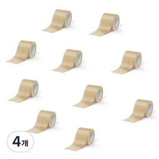 DayByDay 正確生活故事束帶 皮膚色 5cm*4.5m, 4個, 10入