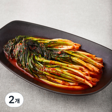 금자네 파김치, 1kg, 2개