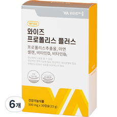 비타민마을 와이즈 프로폴리스 플러스 15g, 30정, 6개