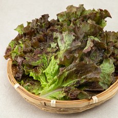 친환경 밀양 적상추, 200g, 1봉