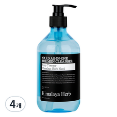 나드 올인원 남성청결제, 500ml, 4개