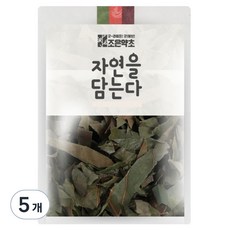 조은약초 감잎, 300g, 1개입, 5개