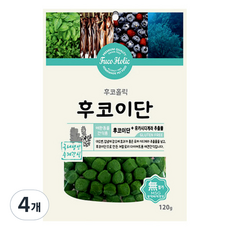 후코홀릭 강아지 수제간식 120g, 후코이단, 4개