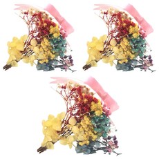 A-ONE 浮游花DIY花材包 H32 3包,桃花彩雲,乾燥花材,DIY材料包,浮游花製作,居家裝飾,手作禮物
