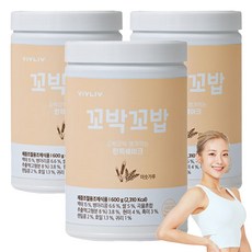 비브리브 꼬박꼬밥 한끼 쉐이크 미숫가루맛, 600g, 3개