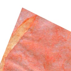 785092970939031-57cc9595-50a8-4855-a1d3-059769cbb143.jpg