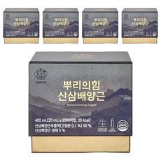천지인 뿌리의힘 산삼배양근, 100개, 20ml