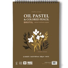 파펠시노 오일파스텔 색연필전용 종이 스케치북 브리스톨지 스프링형, A4, 1개, 22매