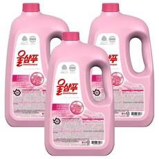 Wool Shampoo 吾香服 原廠中性洗滌劑羊毛洗滌劑產品, 3L, 3個