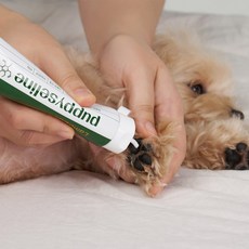 고양이상처연고