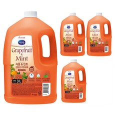 자몽 앤 민트 주방세제, 3L, 4개