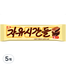 자유시간들