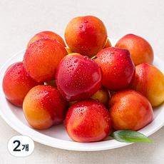 프레시픽 후무사 자두 특대, 2개, 1kg