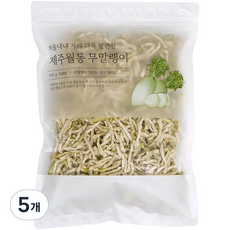 석하 제주 월동 무말랭이, 450g, 5개