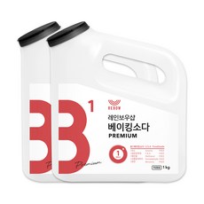 레인보우샵 B1 베이킹소다 프리미엄 왕톡톡이, 1kg, 2개