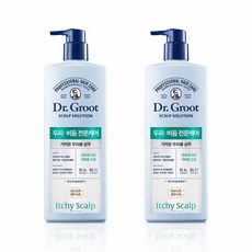 닥터그루트 스칼프솔루션 두피비듬케어 가려운 두피용 샴푸, 700ml, 2개